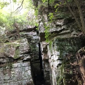 Meet your Posher, Faith